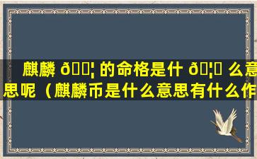 麒麟 🐦 的命格是什 🦍 么意思呢（麒麟币是什么意思有什么作用）